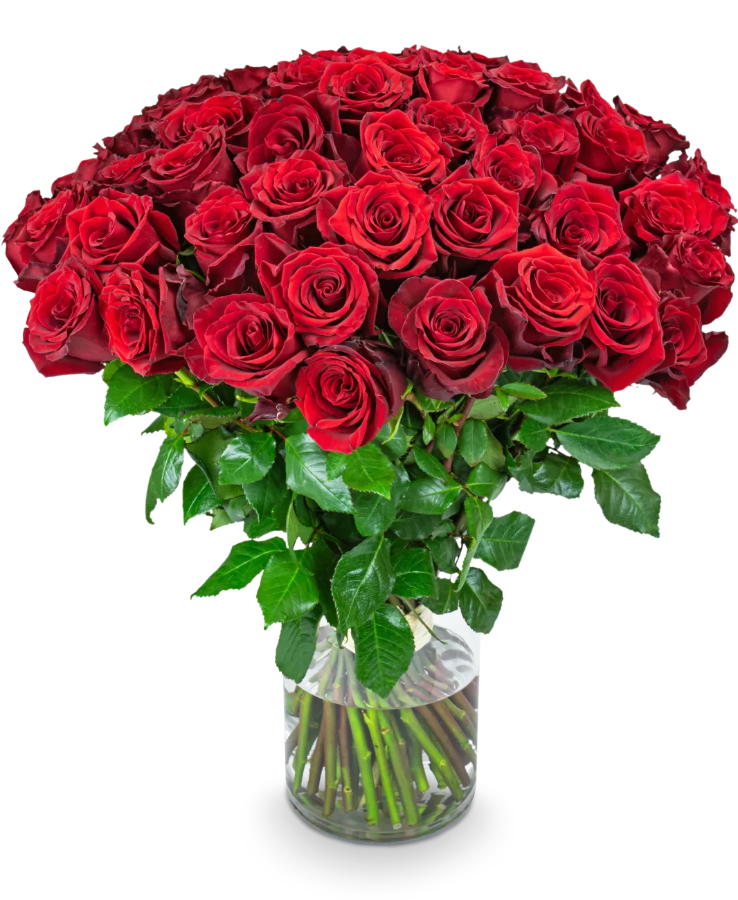 MERCEDES_50_IMG_9334_eRGB kopie.png